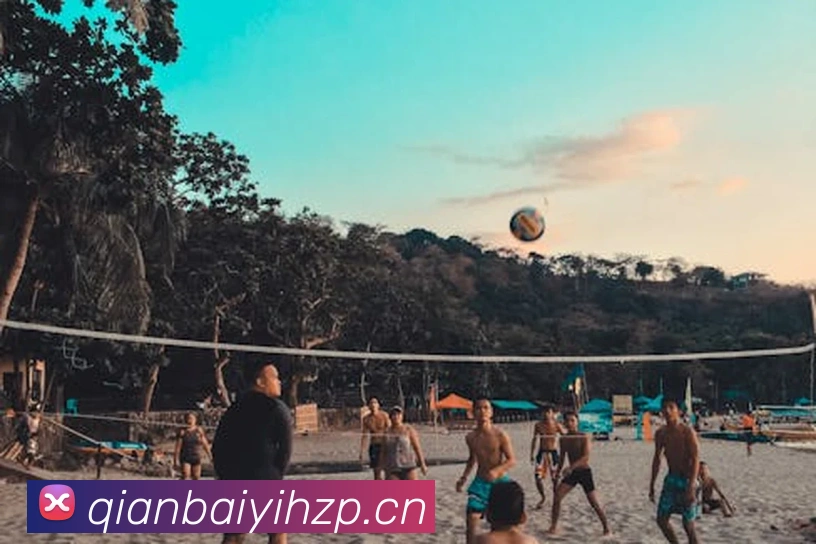 体育数据展示